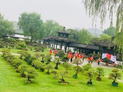 -扬州大运河文化旅游度假区·盆景园