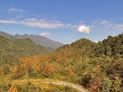 -瓦屋山景区