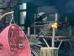 -大青山野生动物园