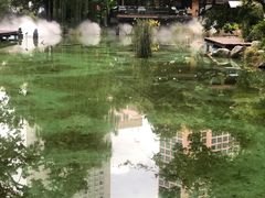 -静安公园(静安寺街道)