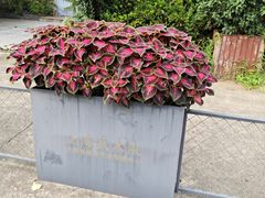 -江湾体育中心游泳馆