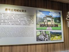 -唐崖土司城遗址