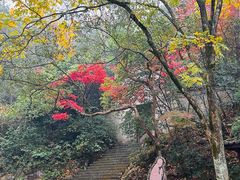 -大慈岩风景区