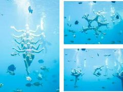 -瑞德姆美人鱼海底演艺主题餐厅(亚龙湾店)