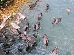 -长白岛森林公园