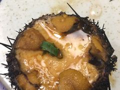 -海派美食·家宴海鲜青岛菜·石锅鲽鱼头(东方城店)