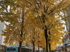 -高庙村(地铁站)