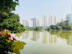 -四海公园(南山区)