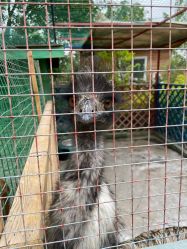 -萌宠亲子动物乐园(槐房万达店)