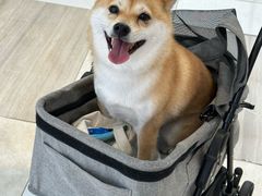 -东莞君尚