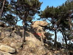 -崂山仰口游览区