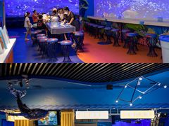 -海合安青岛极地海洋公园