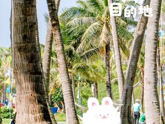 -欢乐海岸椰林沙滩-2025湾区超级灯会