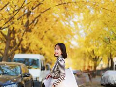 -三里屯东五街银杏大道