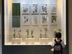 -广东中医药博物馆