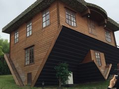-金山农民画村-枫泾波兰倒置屋