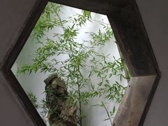 -留园