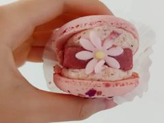 半熟花花马卡龙玫瑰双莓芝士味-好利来(乐堤港店)