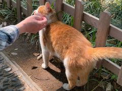 -西园寺素食(西园弄戒幢律寺店)
