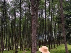 -硗碛藏寨·神木垒景区