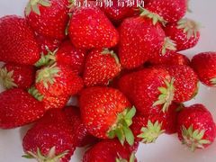 -甜心庄园·甜心草莓采摘园(西青中北店)