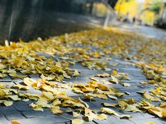 -中国工商银行(上海市马戏城支行)