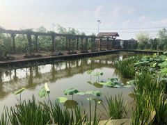 -同銮特种养殖场·龙虾垂钓