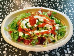 -油梨树AVOCADO TREE(顺义新国展店)