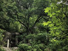 -北京凤凰岭
