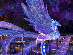 -豫园湖心亭茶楼