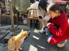 -小小饭店·休闲农庄·安吉松树林里的农家菜