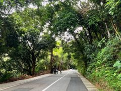 -梧桐山风景名胜区