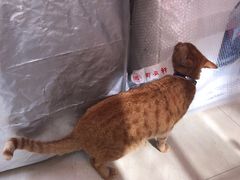 -羽·摄影工作室·外拍·跟拍·活动会议视频