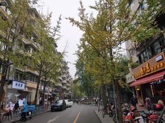 -奎星楼街