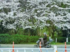 -运河游船(武林门码头)