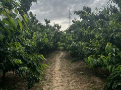 -江杨农产品批发市场