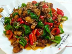 -煲来饱去冷水鱼