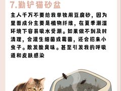-美联众合动物医院·24h转诊中心
