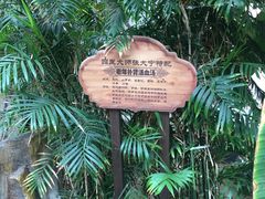 -龙达温泉生态城