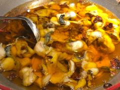 -雲蜀龙阁·金牌水煮鱼(方庄店)