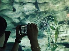 -珠海长隆海洋王国