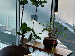 靠窗位-半山腰·云南菜(侨福芳草地店)