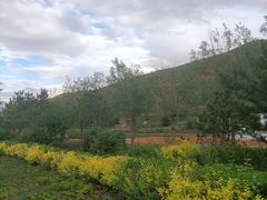 -苏木山森林公园