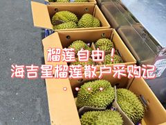 -海吉星市场