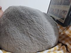 -转角宠物(转塘方家苑店)