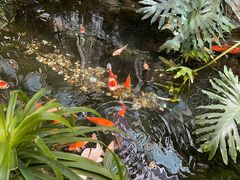 -聚缘堂·海鲜私房菜(松岭路店)