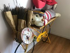 -Husky Go! 哈士奇体验馆·宠物咖啡厅狗咖