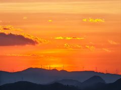 -长虫山生态公园风景林