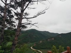 -帽儿山国家森林公园