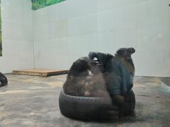 -西安秦岭野生动物园